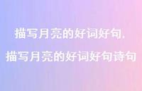 描写月亮的好词好句诗句【100句文案精选】