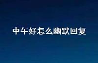 中午好怎么幽默回复【100句精选短句合集】