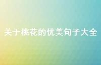关于桃花的优美句子大全(精选66句) 关于桃花的优美句子大全(精选66句)