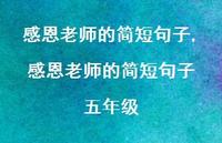 感恩老师的简短句子 五年级【100句文案精选】