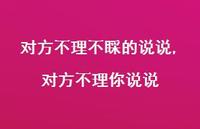 对方不理你说说【精选100句】