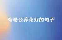 夸老公养花好的句子【100句精选短句合集】