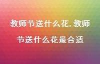 教师节送什么花最合适【100句文案精选】
