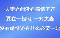 一对夫妻没有感情还有什么必要一起(100句)