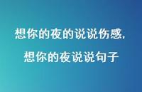 想你的夜说说句子(100句)