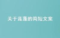 关于莲蓬的简短文案(精选58句)