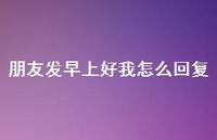 朋友发早上好我怎么回复73句汇总 朋友发早上好我怎么回复73句汇总