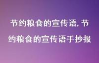 节约粮食的宣传语手抄报【100句文案精选】 节约粮食的宣传语手抄报【100句文案精选】