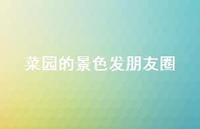 菜园的景色发朋友圈【100句精选短句合集】
