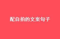 配自拍的文案句子【100句精选短句合集】 配自拍的文案句子【100句精选短句合集】
