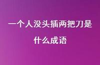 一个人没头插两把刀是什么成语(精选36句)