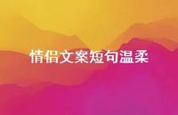 情侣文案短句温柔【100句精选短句合集】