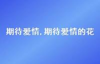 期待爱情的花【100句文案精选】