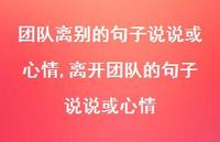 离开团队的句子说说或心情【100句文案】