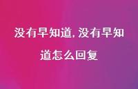 没有早知道怎么回复(100句)