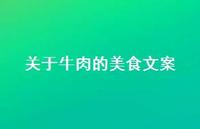 关于牛肉的美食文案【100句精选短句合集】