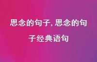 思念的句子经典语句【100句文案精选】