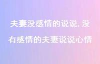 没有感情的夫妻说说心情(100句) 没有感情的夫妻说说心情(100句)