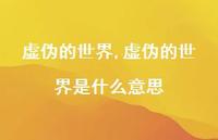 虚伪的世界是什么意思(100句)