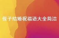 侄子结婚祝福语大全简洁合集57句精选