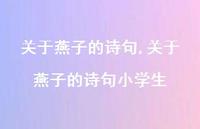 关于燕子的诗句小学生【精品文案100句】