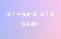 关于春节的诗句【精品文案100句】