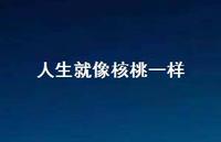 人生就像核桃一样(精选38句) 人生就像核桃一样(精选38句)