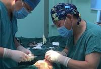 前段时间去北京，做了提眉手术，我来“透露”一些真相