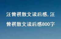汪曾祺散文读后感800字【69句文案精选】