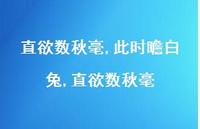 此时瞻白兔,直欲数秋毫【精品文案100句】 此时瞻白兔,直欲数秋毫【精品文案100句】