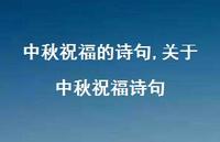 关于中秋祝福诗句【100句文案精选】