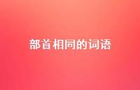 部首相同的词语52句汇总