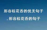 形容桂花香的句子【精品文案100句】