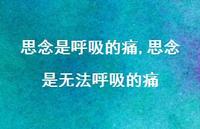 思念是无法呼吸的痛【100句文案精选】