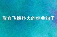 形容飞蛾扑火的经典句子(精选63句)