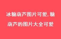 糖葫芦的图片大全可爱【精选100句】