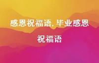 毕业感恩祝福语【100句文案精选】 毕业感恩祝福语【100句文案精选】