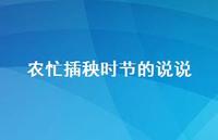 农忙插秧时节的说说【100句精选短句合集】 农忙插秧时节的说说【100句精选短句合集】