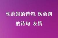 伤离别的诗句 友情【100句文案精选】