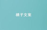 桃子文案【100句精选短句合集】