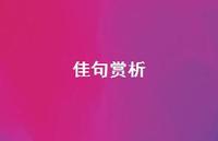 佳句赏析67句汇总 佳句赏析67句汇总
