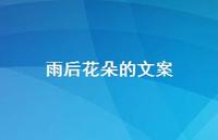 雨后花朵的文案【100句精选短句合集】 雨后花朵的文案【100句精选短句合集】