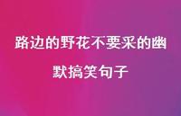 路边的野花不要采的幽默搞笑句子【100句精选短句合集】