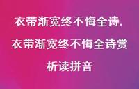 衣带渐宽终不悔全诗赏析读拼音【100句文案精选】 衣带渐宽终不悔全诗赏析读拼音【100句文案精选】