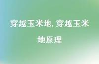 穿越玉米地原理【100句文案精选】 穿越玉米地原理【100句文案精选】