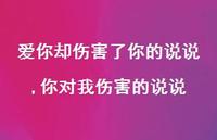 你对我伤害的说说(100句) 你对我伤害的说说(100句)