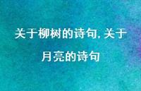 关于月亮的诗句【精品文案100句】