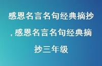 感恩名言名句经典摘抄三年级【100句文案精选】 感恩名言名句经典摘抄三年级【100句文案精选】