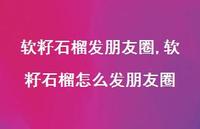 软籽石榴怎么发朋友圈(100句)