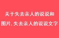 失去亲人的说说文字(100句) 失去亲人的说说文字(100句)